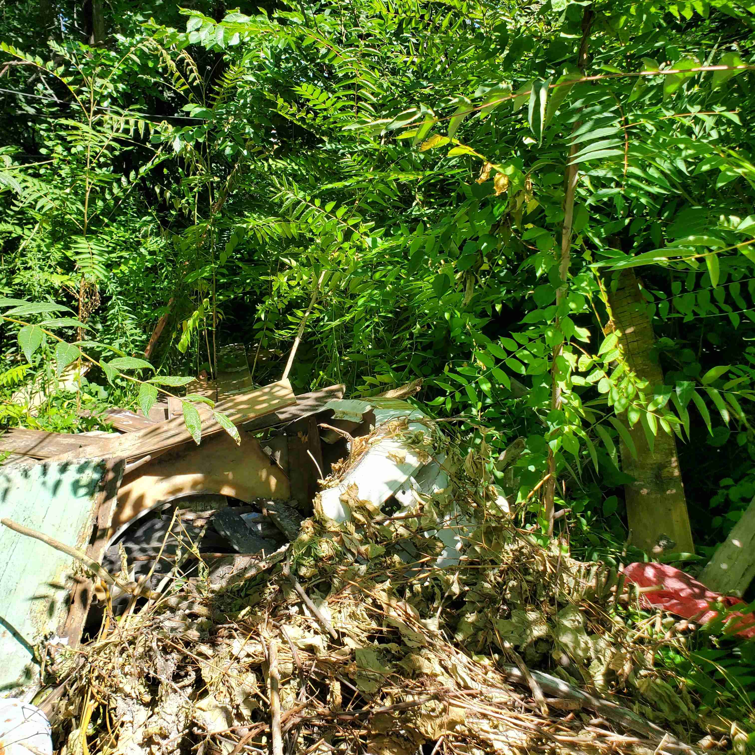 20200812_125200 (2).jpg